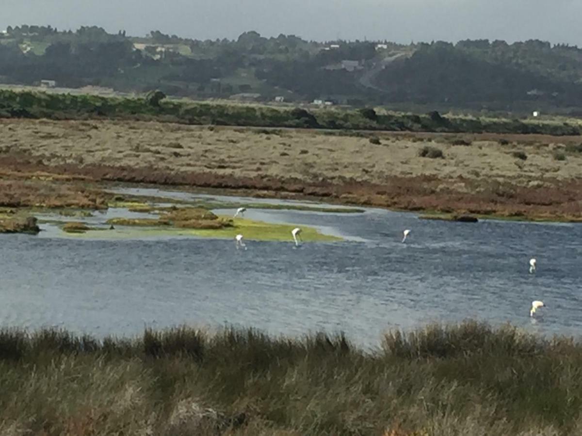 Hotel Quinta Da Rocha Portimao Mexilhoeira Grande Zewnętrze zdjęcie